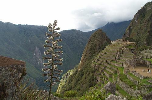 peru04px128